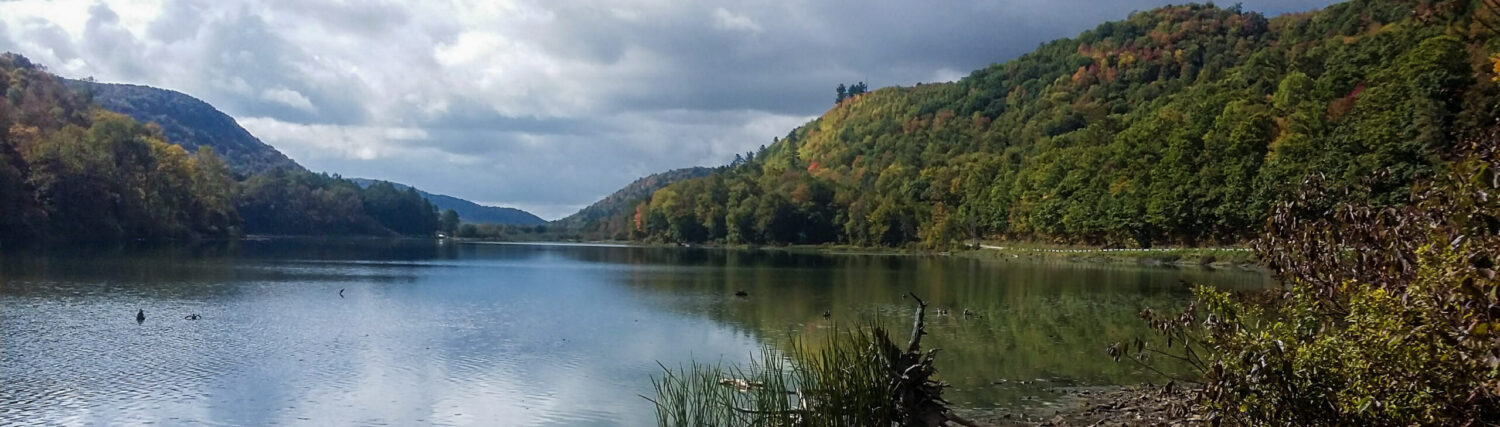 Discover Alfred, NY